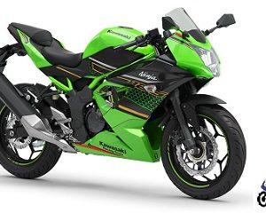 Kawasaki Ninja 125 Green